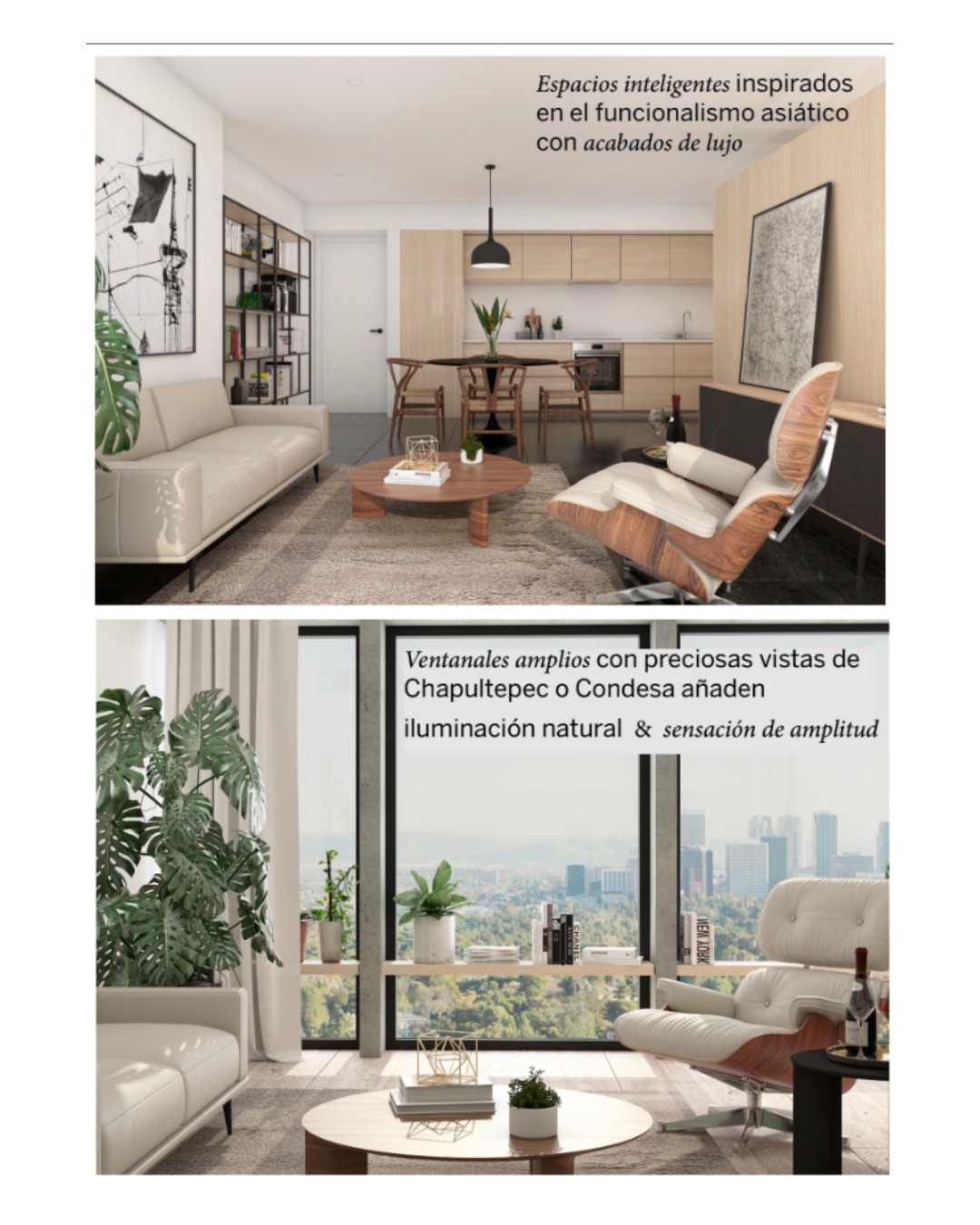 WhatsApp Image 2026-03-25 at 13.37.58 (4)