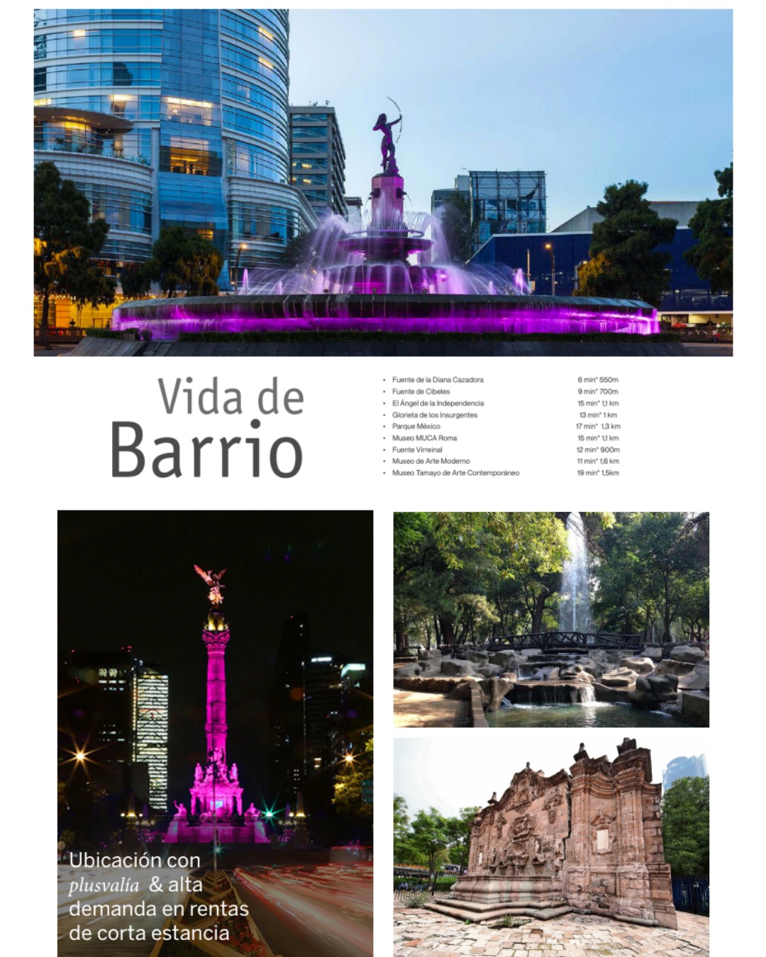 WhatsApp Image 2026-03-25 at 13.37.58 (5)